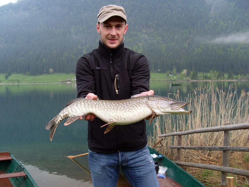 Ferienwohnungen Mitterer Weissensee Ngoại thất bức ảnh